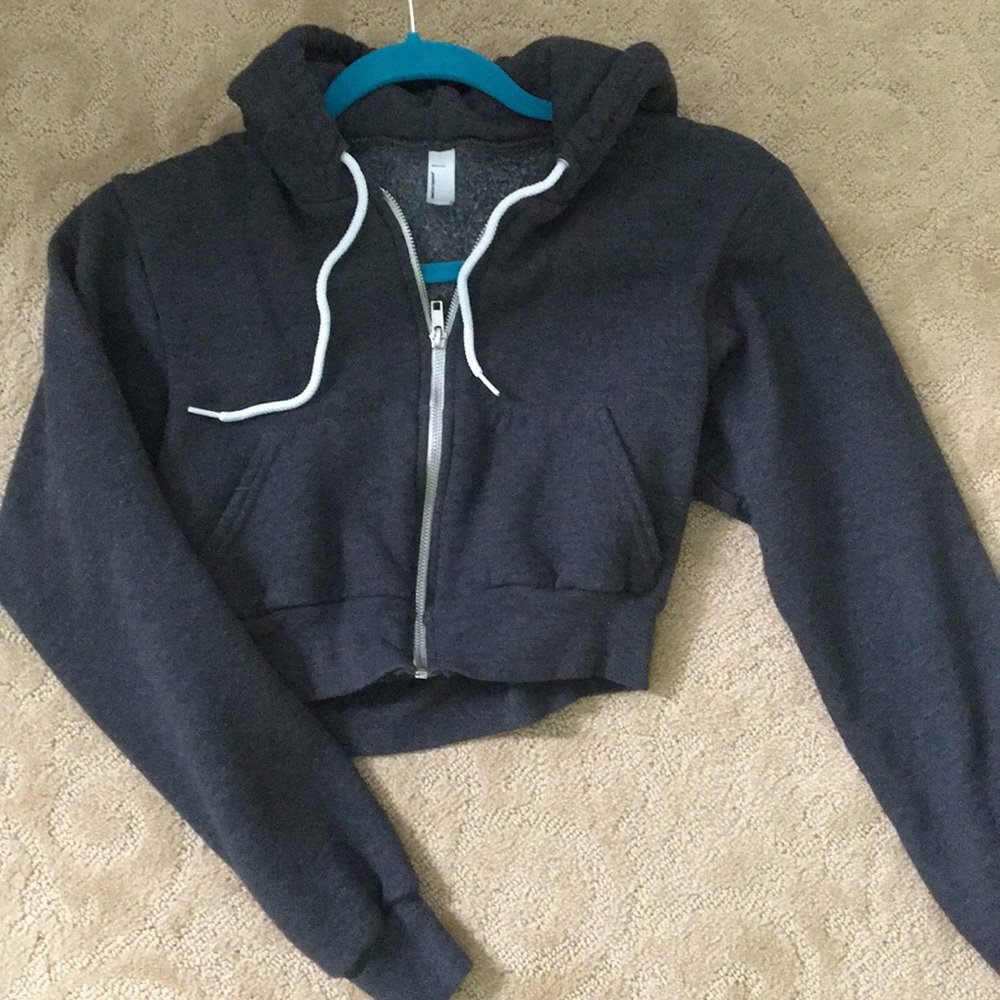 American Apparel Gray Cropped Hoodie
